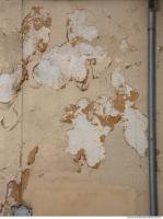 Photo Texture of Plaster 0063